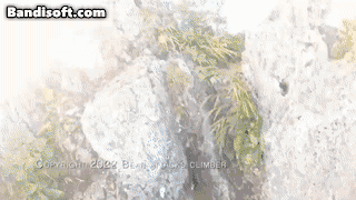 daed15be1eed0a905b21e639c5ae1c33_1706587410_4487.gif