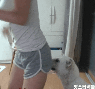 a8b5c66cd6acc7ea68c5ca47bee92852_1710384710_0867.gif
